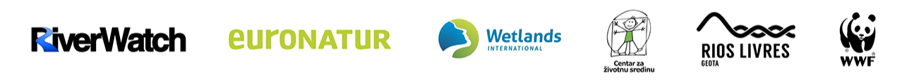 logo line.png